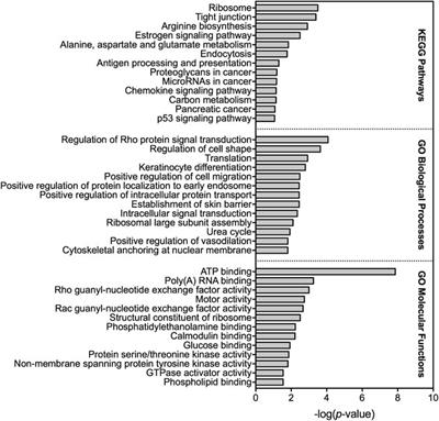 RNA Sequencing of Lake Charr Epidermal Mucus to Assess Molecular Effects of Diluted Bitumen Exposure in a Boreal Lake